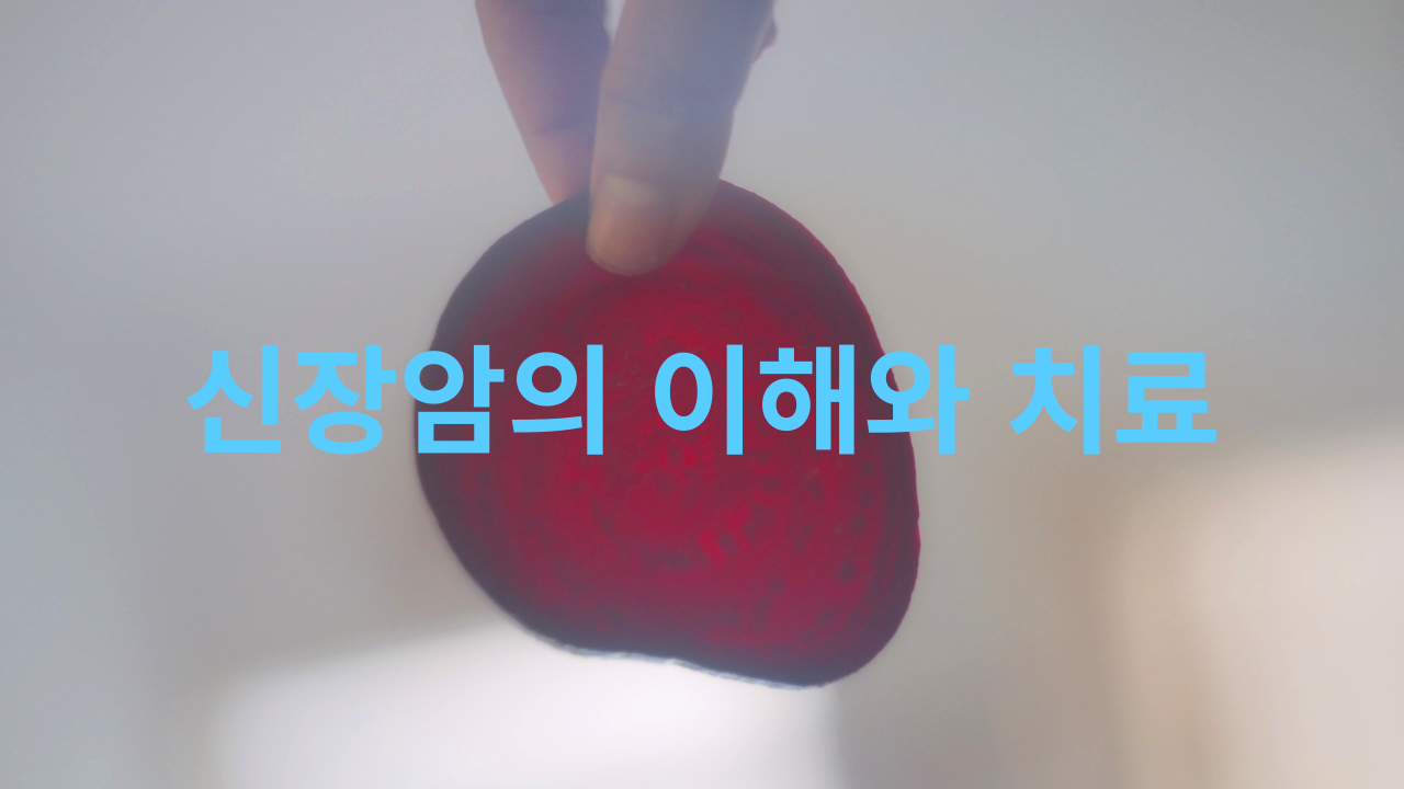 신장암의 이해: 증상, 진단, 치료 및 예방 방법