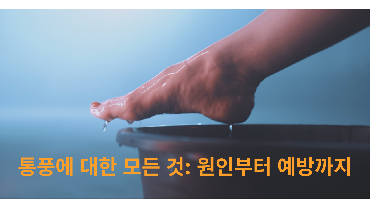 통풍에 대한 모든 것: 원인부터 예방까지 완벽 정리